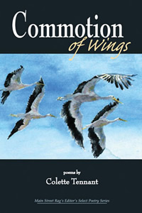 Commotion of Wings